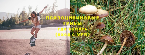 гашик Балабаново